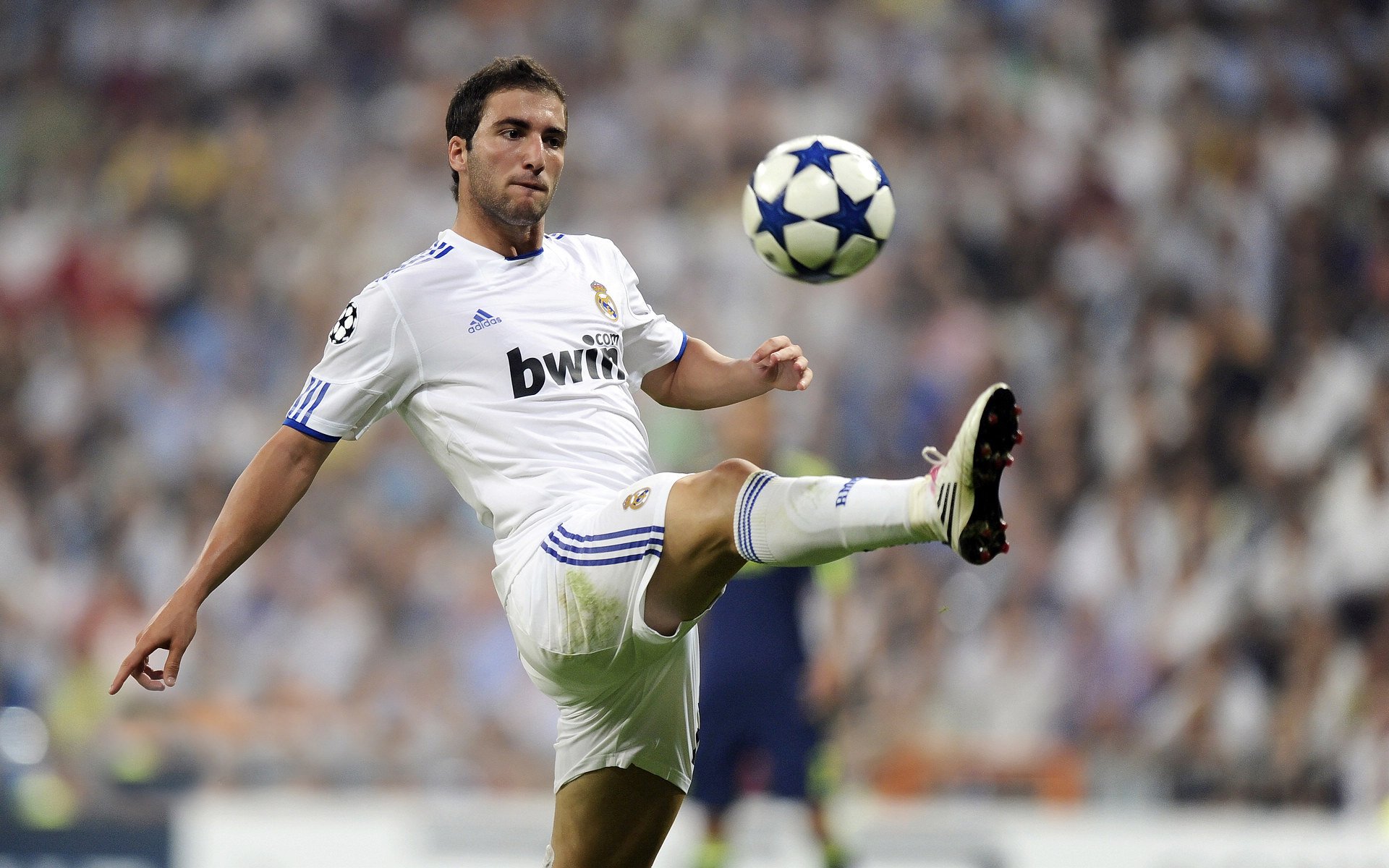 IM体育赛事直播入口-赛道与球场，F1街道赛焦点战背后的尼克斯式一波流启示